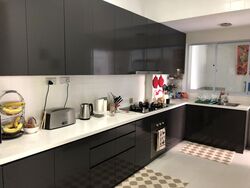 Shamrock Park (D10), Semi-Detached #337693881